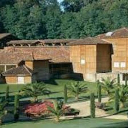 Maison Avec Piscine Proche Des Thermes Mauleon-D'armagnac Zewnętrze zdjęcie